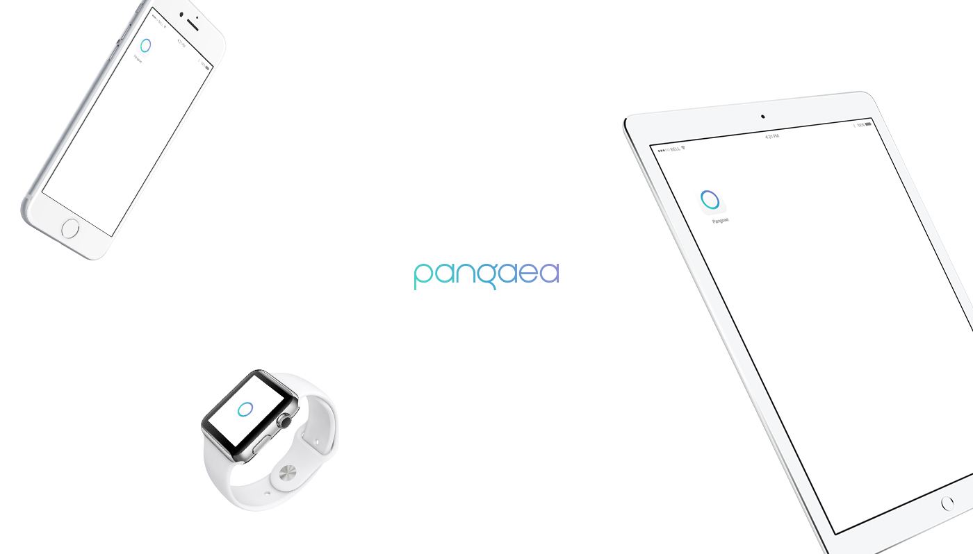 Pangaea logo brand Web app digital colors user connection Global software Brazil mobile ios UI