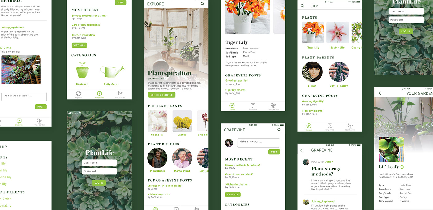 app design App prototype houseplant invision studio Nature plants social media social network