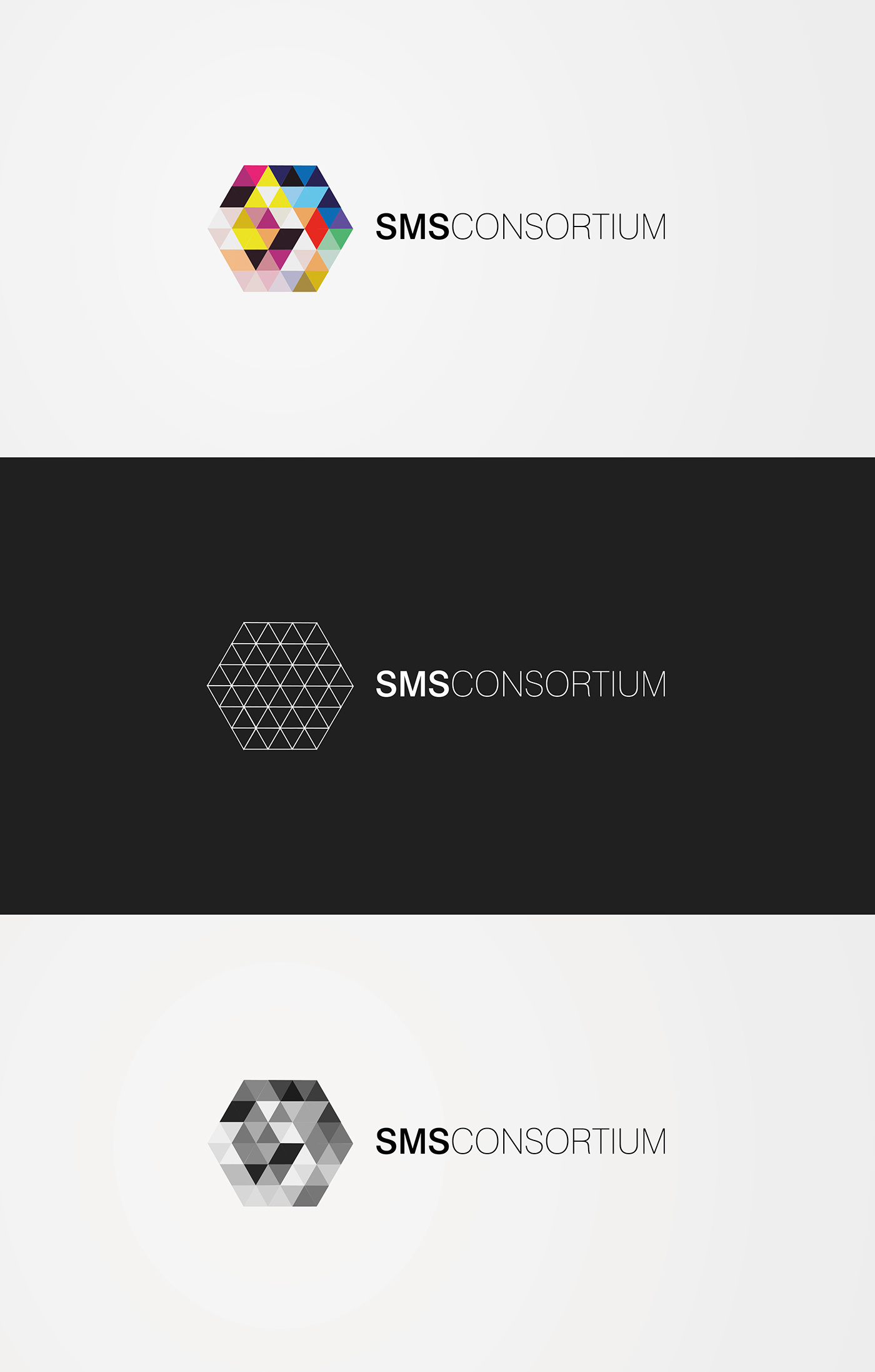 company identity sms consortium corporate Corporate Identity stationary hexagon Triangles visiting card logo