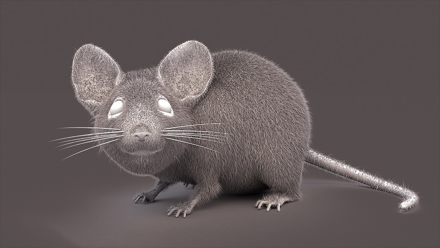 Fur mouse vrayfur 3dsmax substancepainter adobe Character animal hairfur mice