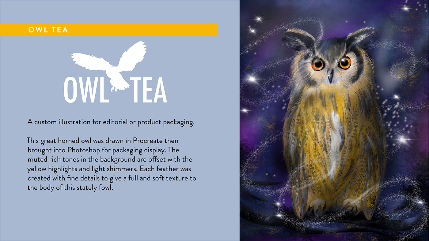 product illustration owl illustration animal procreate illustration Logo Design Graphic Designer Brand Design Packaging