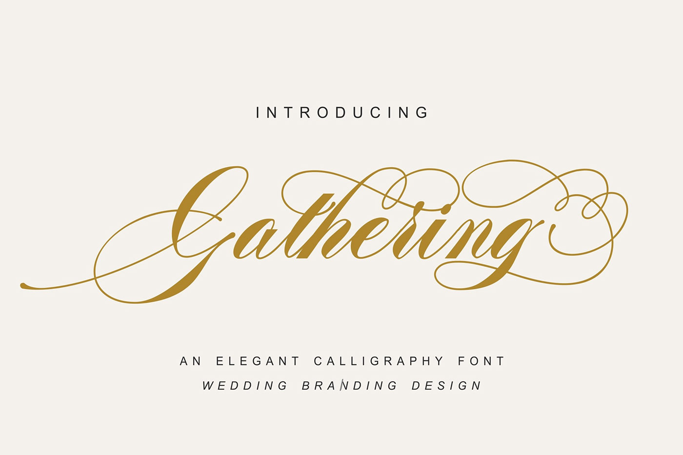 fonts bundle Script modern Easter Calligraphy   handwritten otf ttf funny lettering