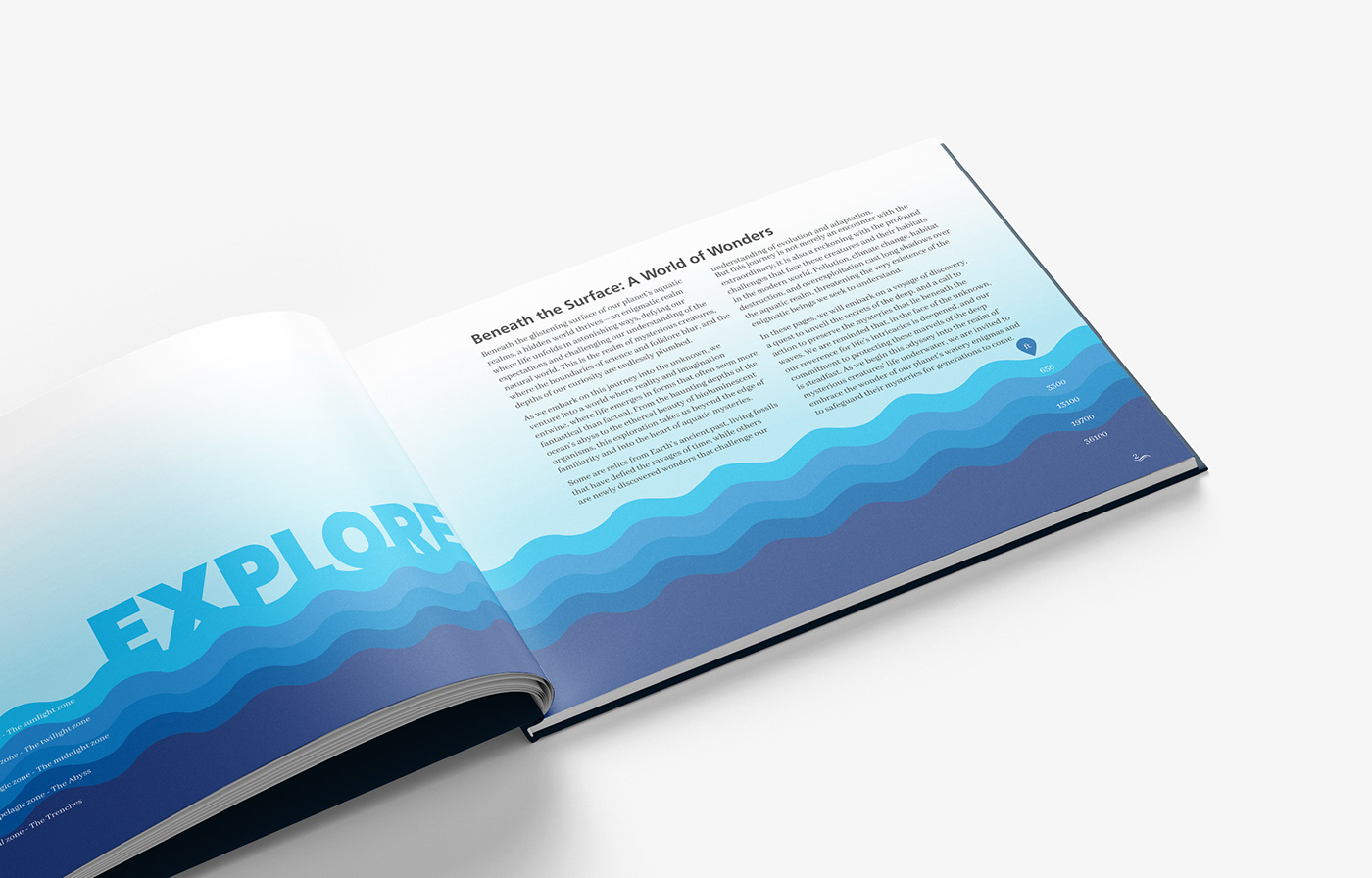 COFFEE TABLE BOOK Layout Design publication design editorial student project beneath the waves Underwater book