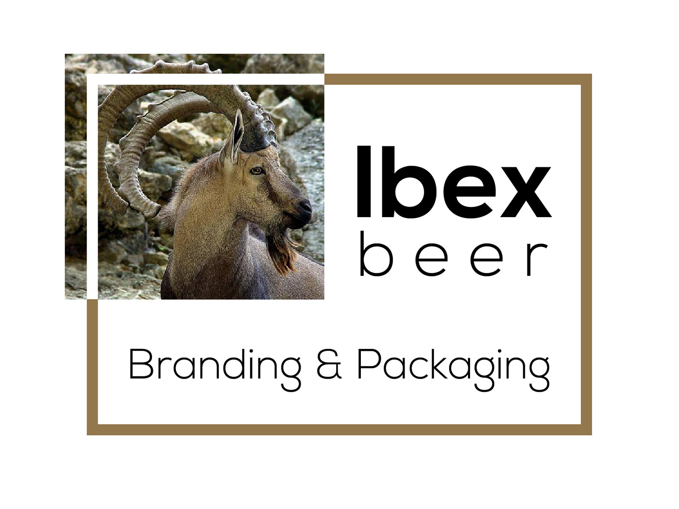 branding and packaging