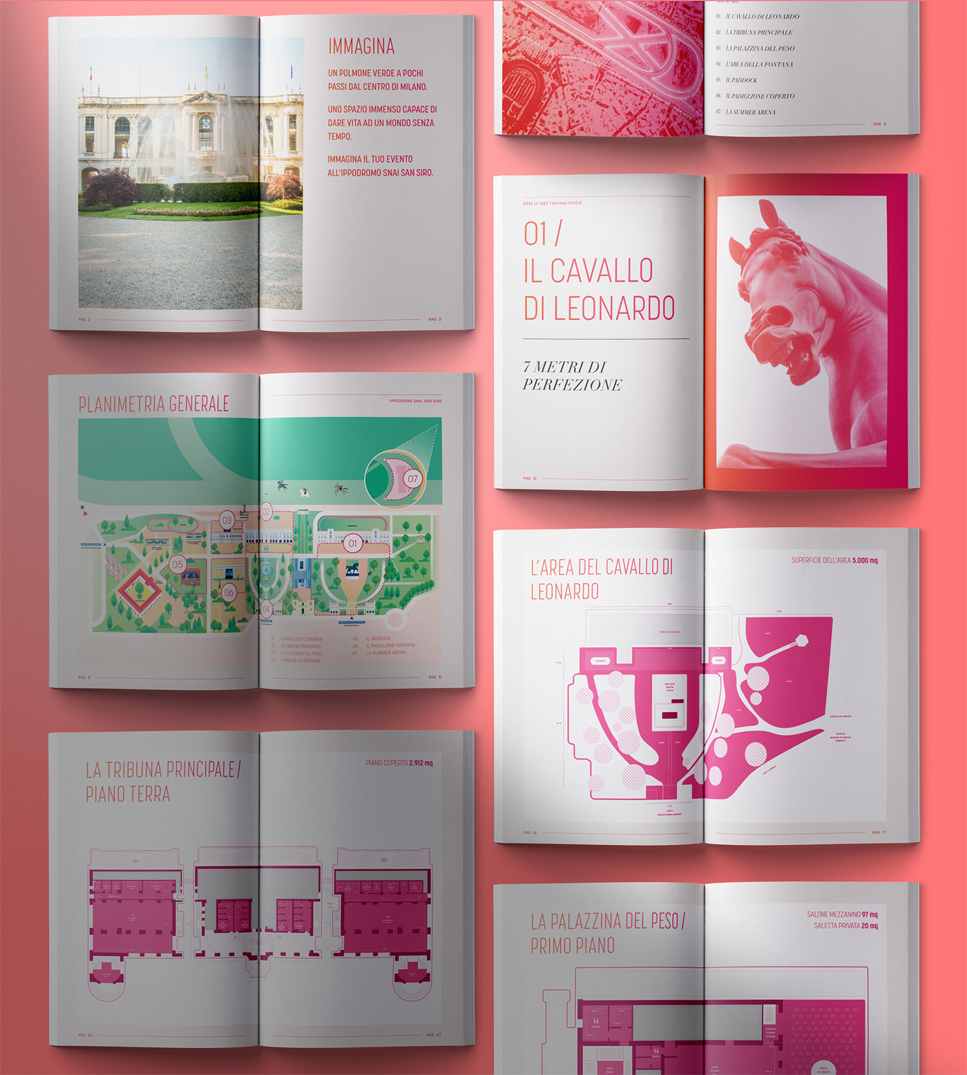 book color colorful editorial editorial design  graphic design  horse ILLUSTRATION  magazine map