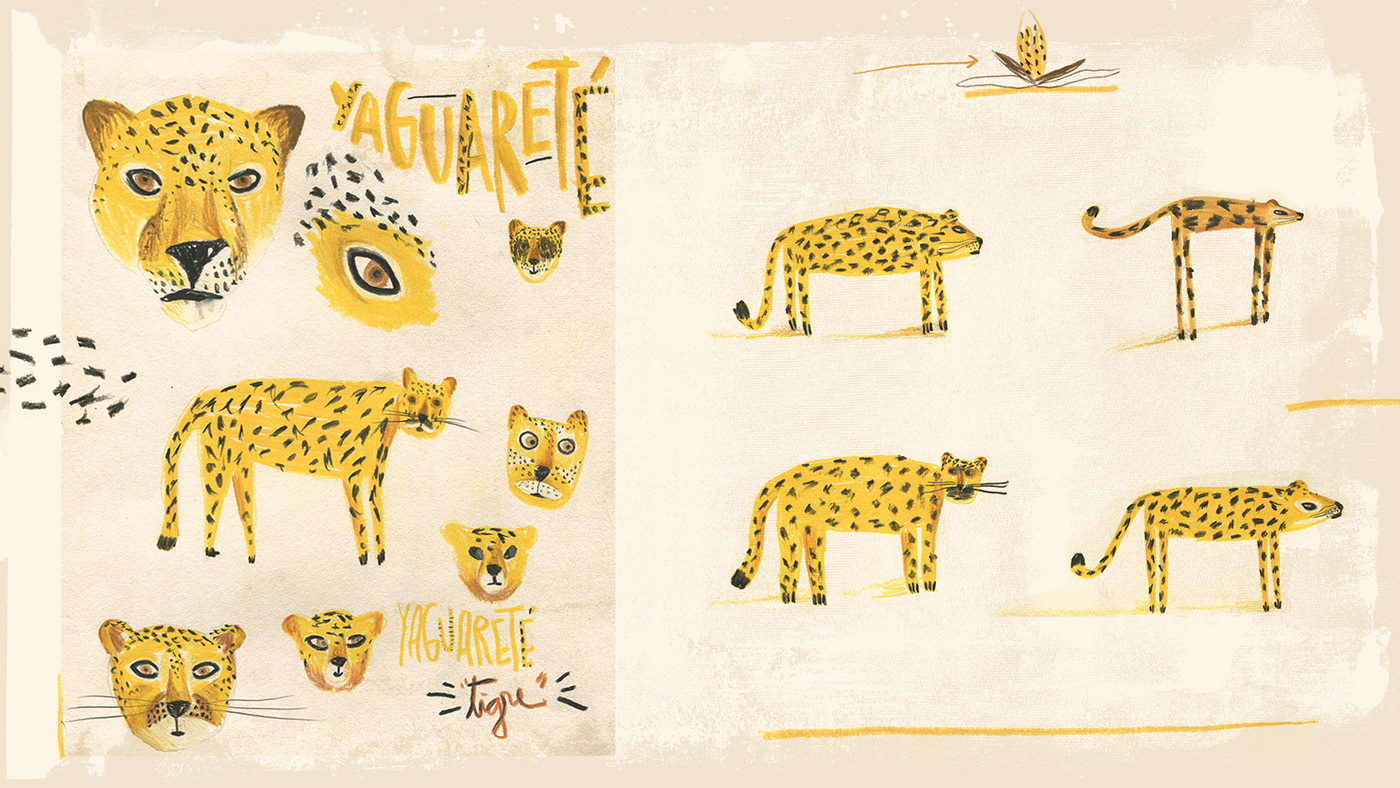 animales cuentos dibujo editorial fanzine horacio quiroga ILLUSTRATION  ilustracion jungle selva