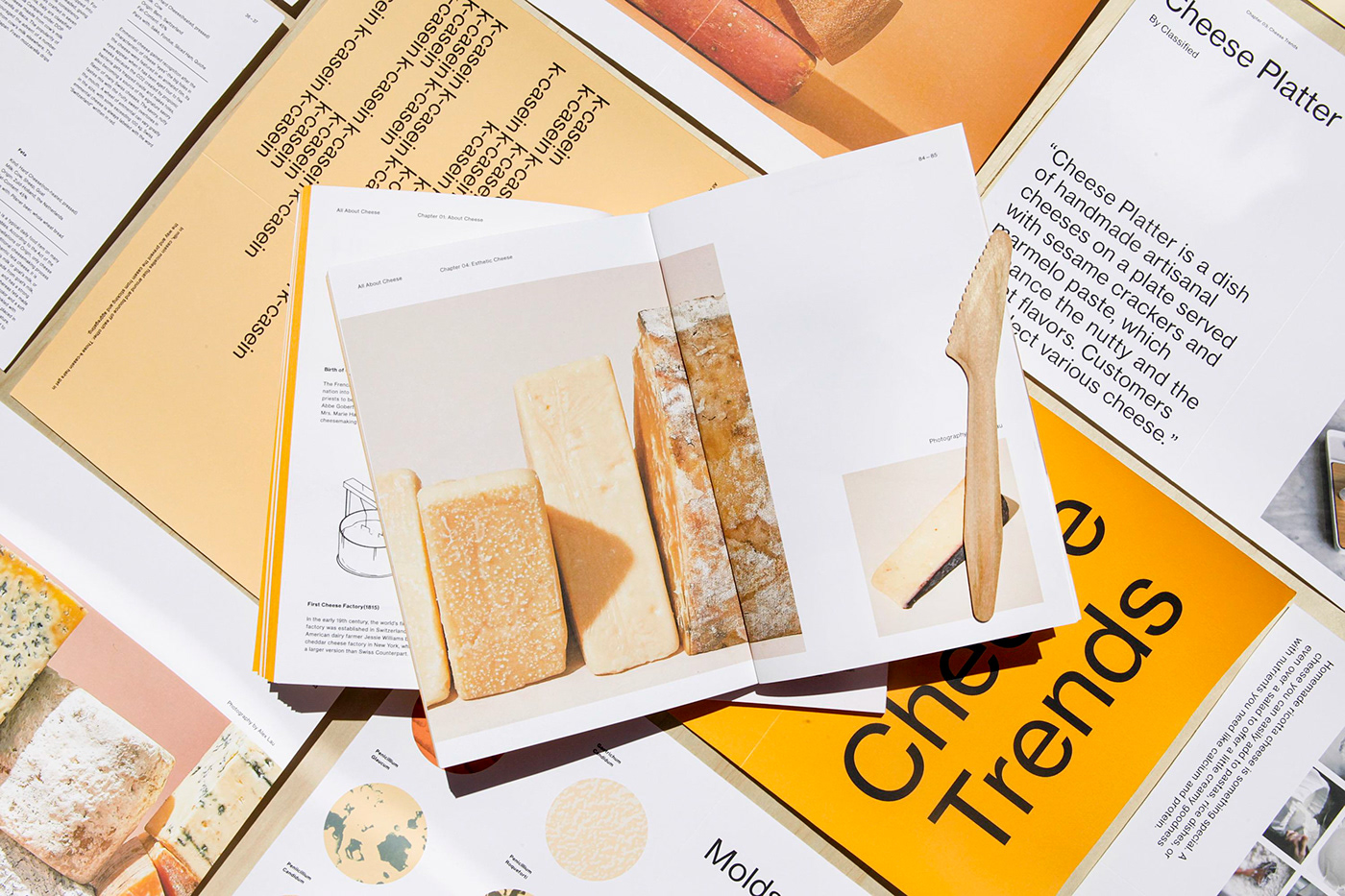 book design concept design conceptual cookbook craft design editorial design  food inspiration graphic design  typyography