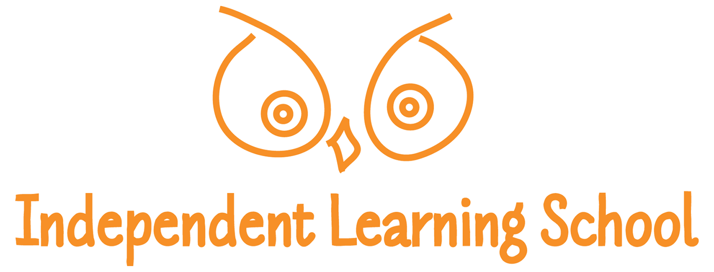 Education Independent Learning 