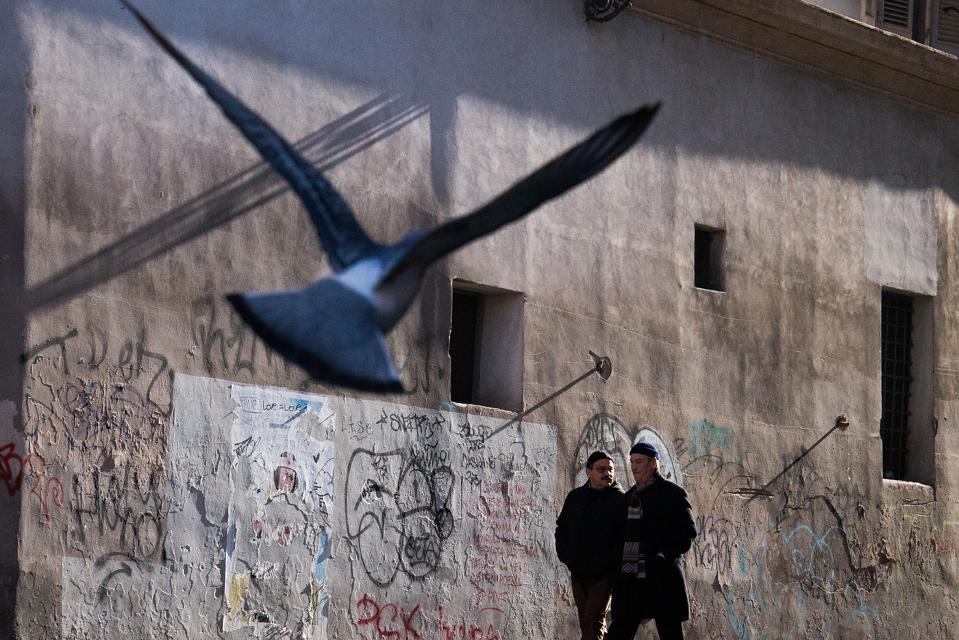 Rome birds Travel Italy streetphotography Documentary  streets