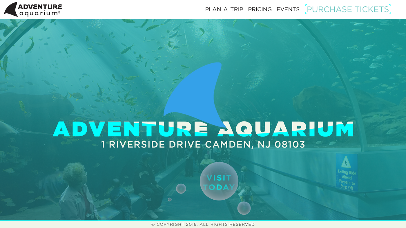 Website Concept Adventure Aquarium flat design