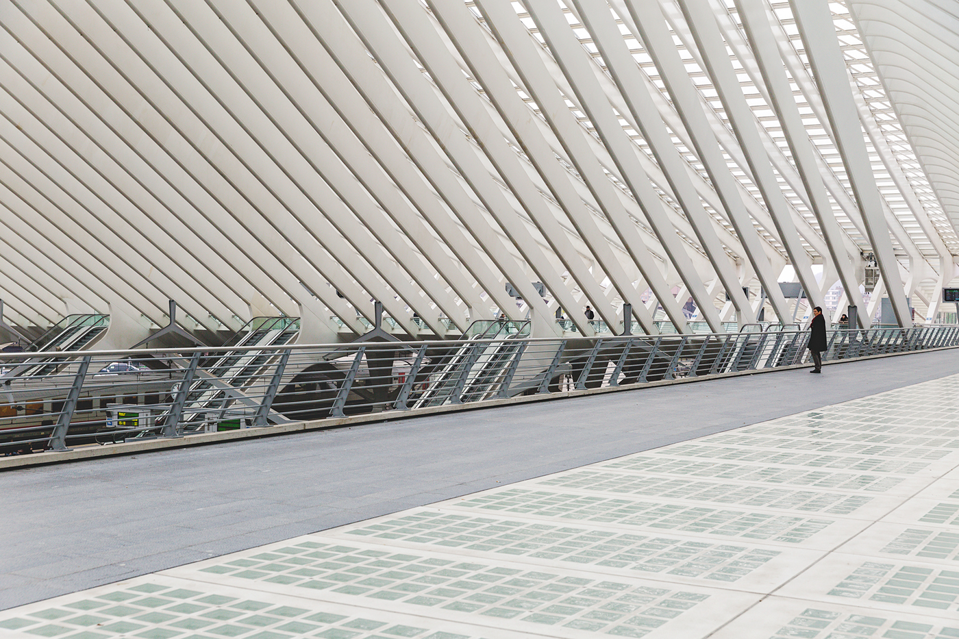 train station calatrava Spanish Architect belgium liège White amorph