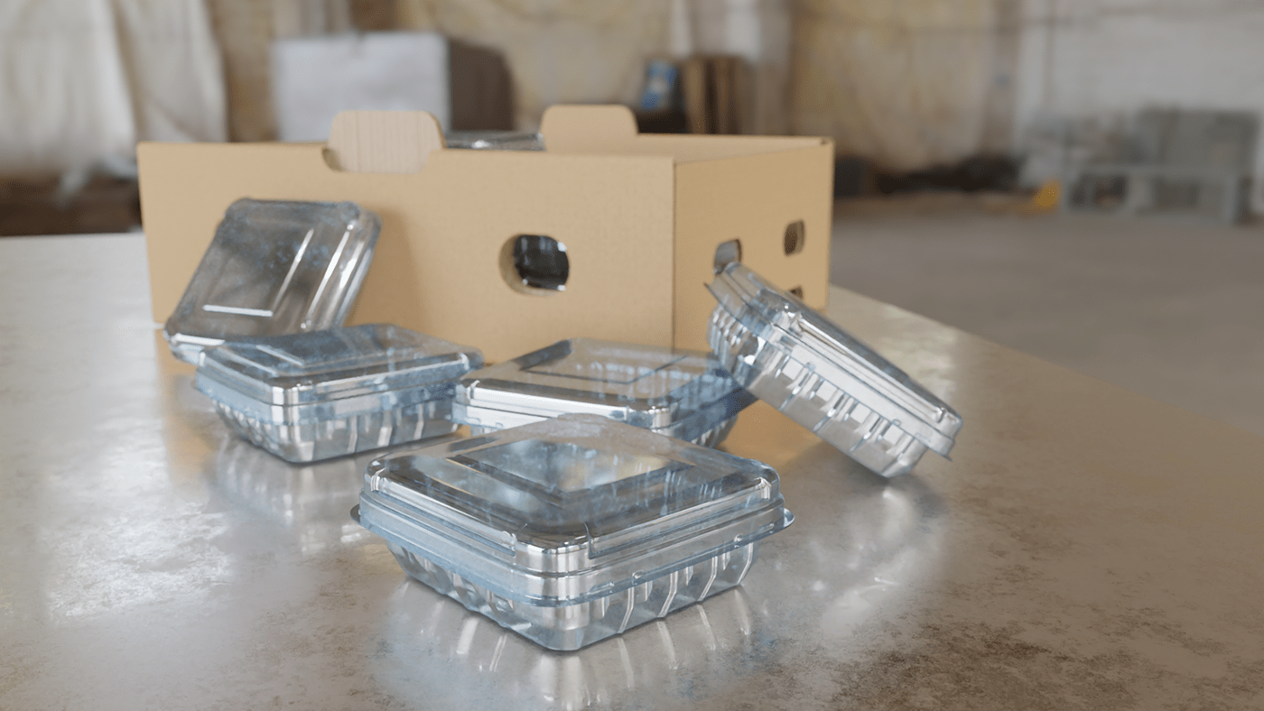 3D artioscad berries packaging blender box clamshell package design  Packaging packaging design visualization