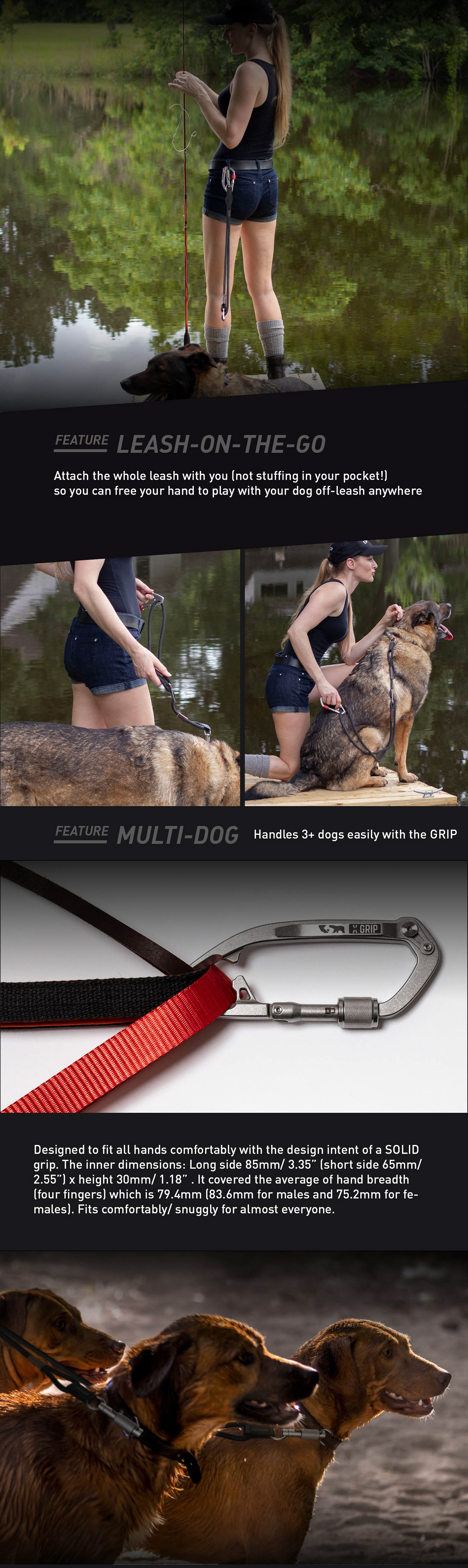 clip crowdfunding dog dog leash dog leashes edc keychain Kickstarter steel Titanium