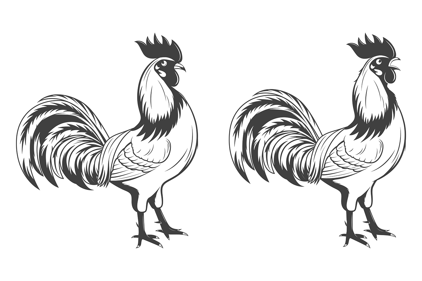 CHICKEN HEN ROOSTER ART FARM ROOSTER VECTOR VINTAGE ROOSTER ROOSTER NEW YEAR VECTOR 2017 COCK LUNAR CHINA ART SCETCH DESIGN ELEMENT TEMPLATE BLACK AND WHITE GREETING DECORATION ORIENTAL CHINESE CONCEPT