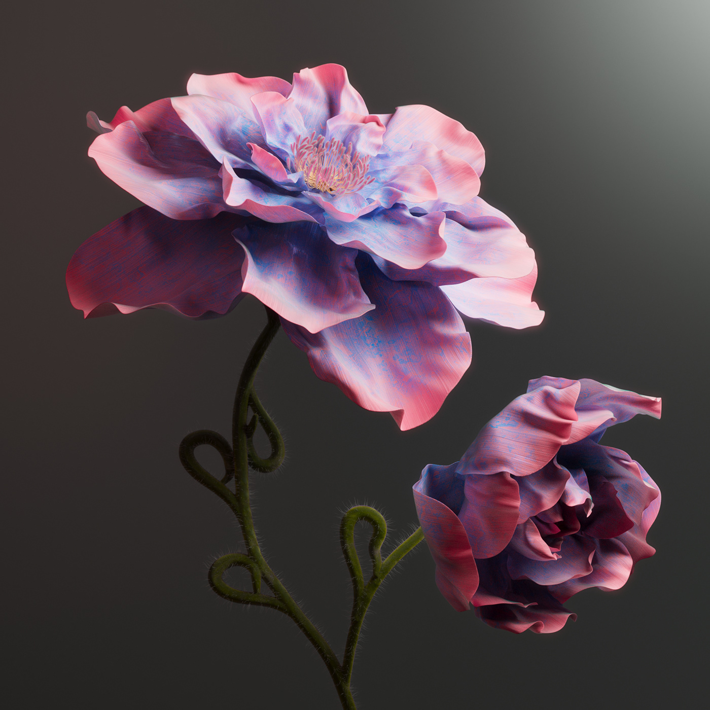 3D abstract CG flower houdini motion design natural redshift surreal vellum