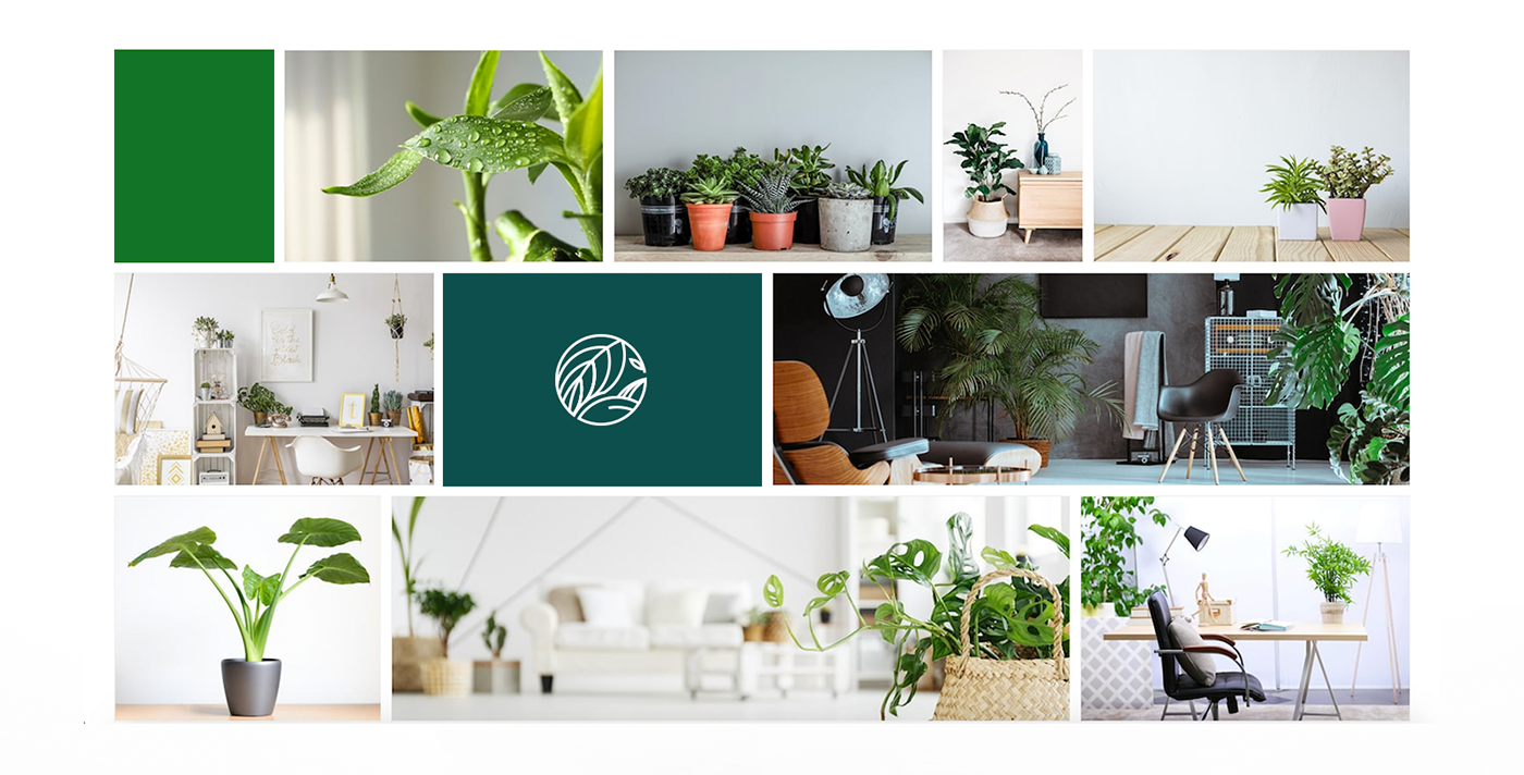 Creative Branding creative logo green leaf art Brand Design Plant Shop Nature Sustainability