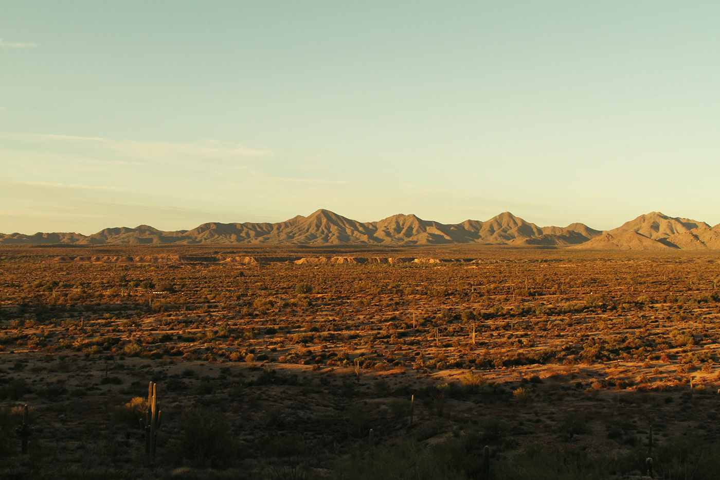 Nature Landscape mountians desert arizona Hot Sun cactus Canon earth