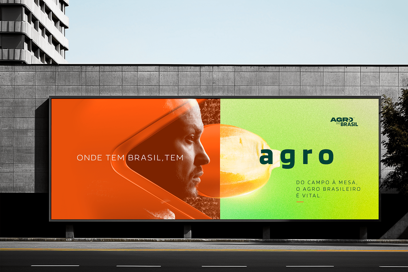 Agro agriculture branding  brand identity concept agricultura bahia retouch Matte Painting campanha