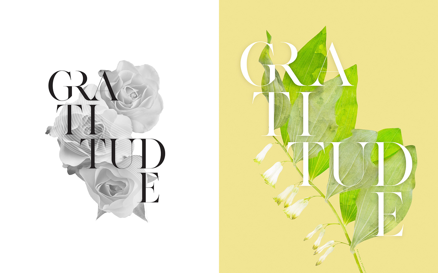 Advertising  floral typography flower design gliturr Instagram Post poster illustration social media layout Socialmedia typography design Typography Print