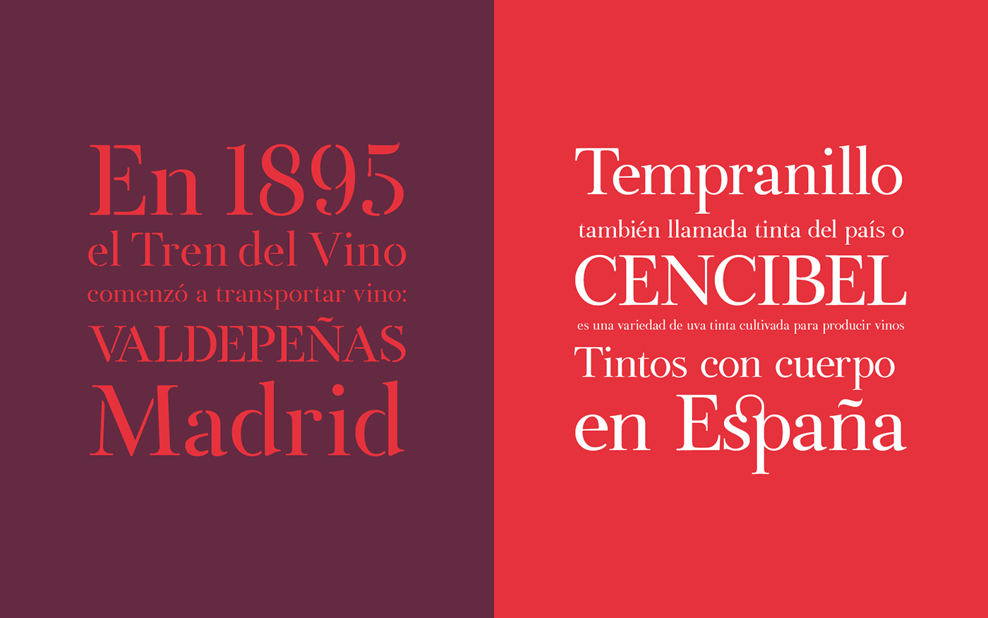 serif stencil Typeface tipografia free font type wine Packaging typography