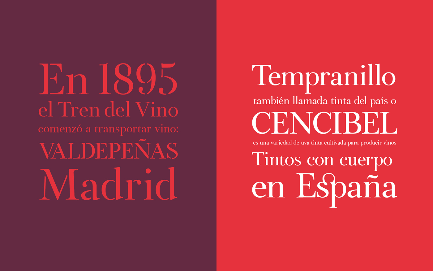 serif stencil Typeface tipografia free font type wine Packaging typography  