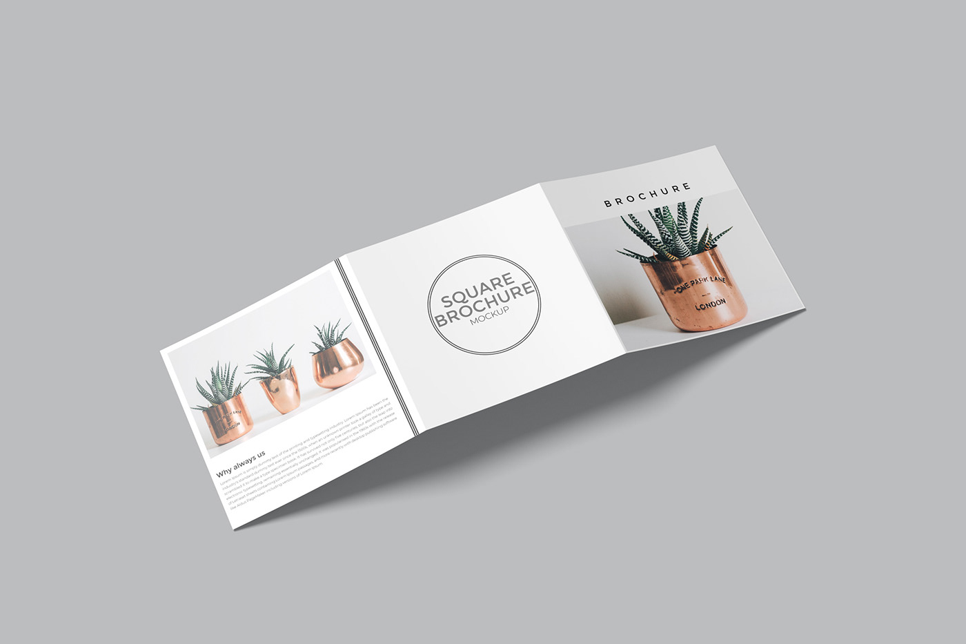 3D brochure design document graphic Mockup presentation print square trifold