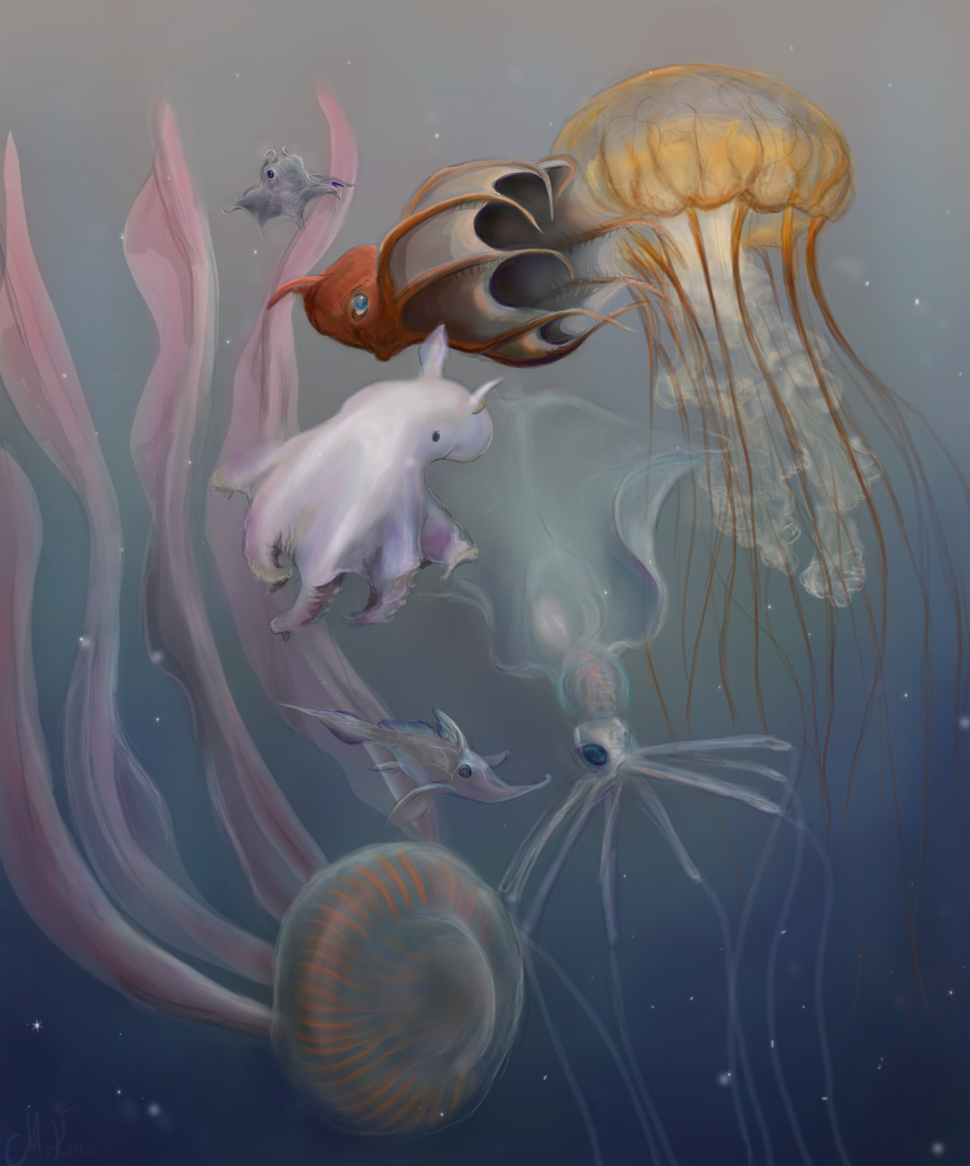 fish animals water sea dolphin Ocean Whale jellyfish