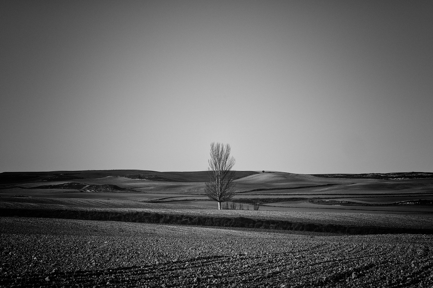 minimal Minimalism Landscape monochrome blackandwhite Photography  trees Nature SKY