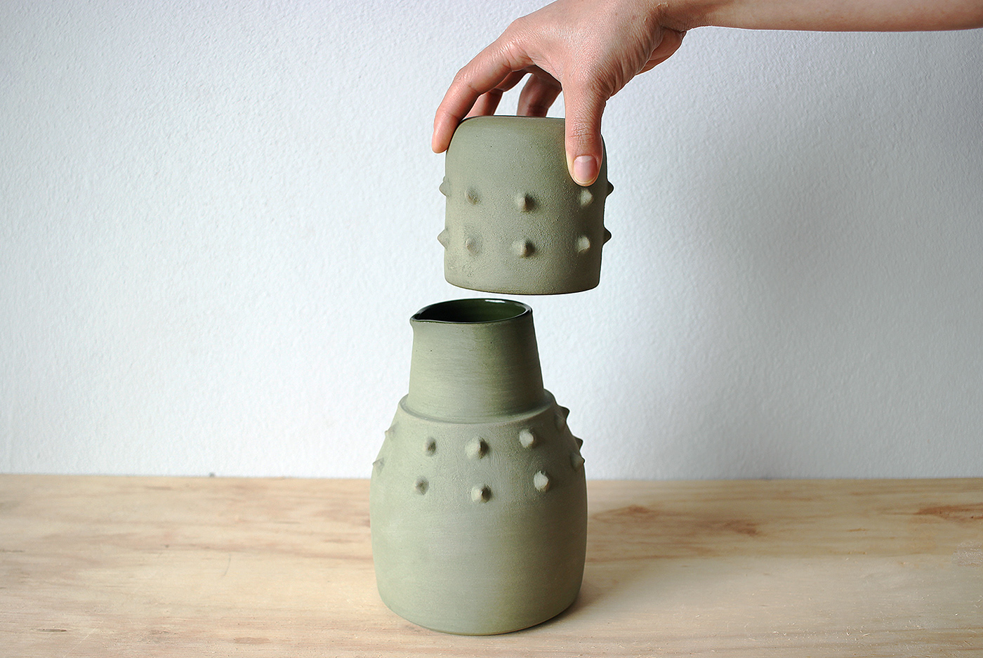 cacto cactus ceramica ceramics  craft hibrido hybrid moringa plantas Pottery