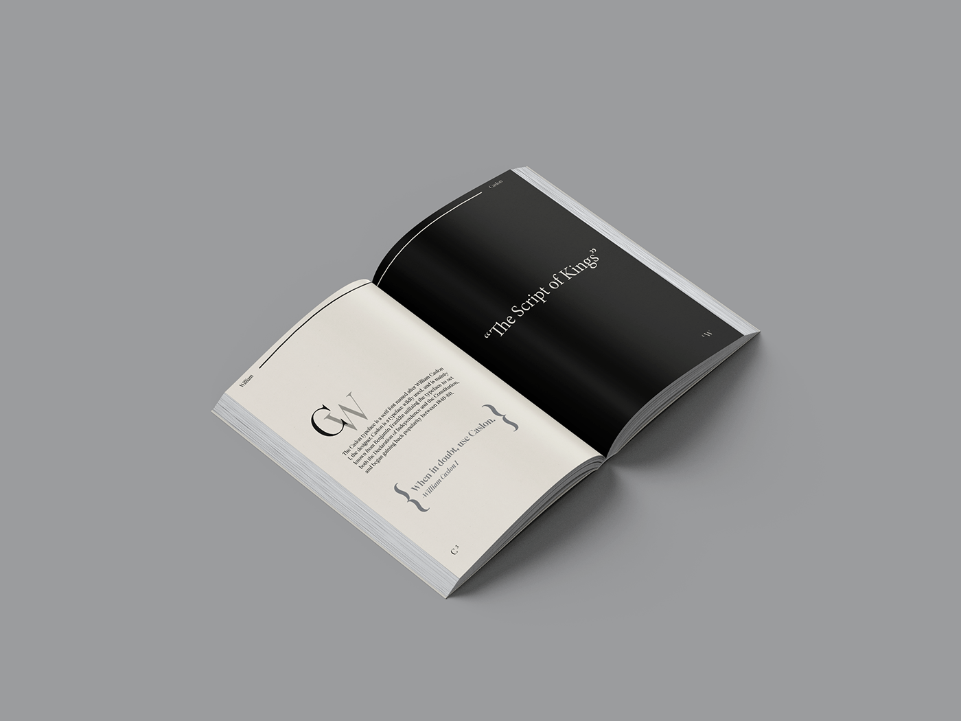 booklet design typography  