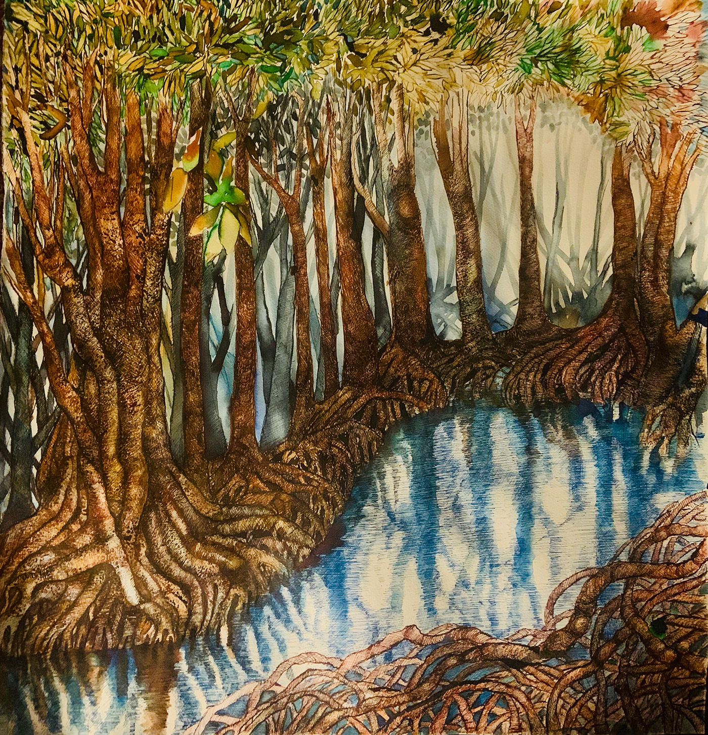 art artist sketch artwork reflections Nature beauty mangroves  