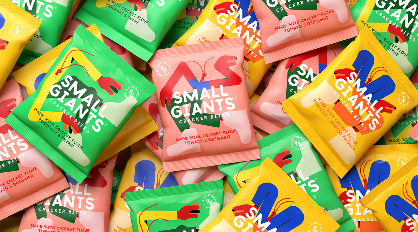branding  characters colorful Cricket ILLUSTRATION  insect Packaging protein Sustainable weird