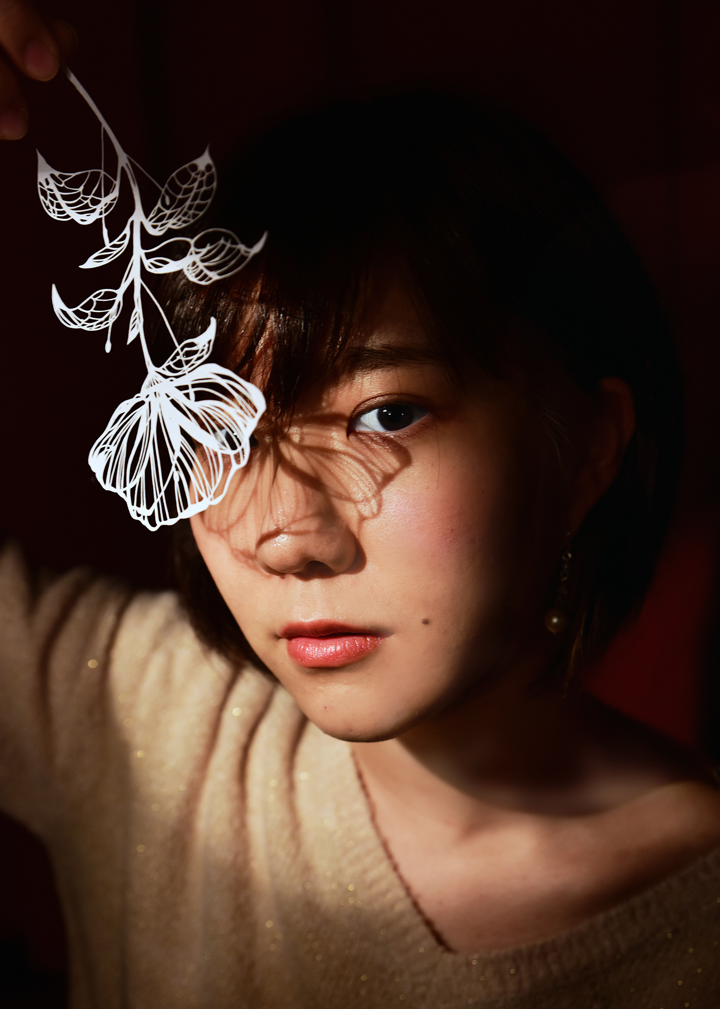 art artist boderres Collaboration cutout japan newcomer paper Photography  portrait