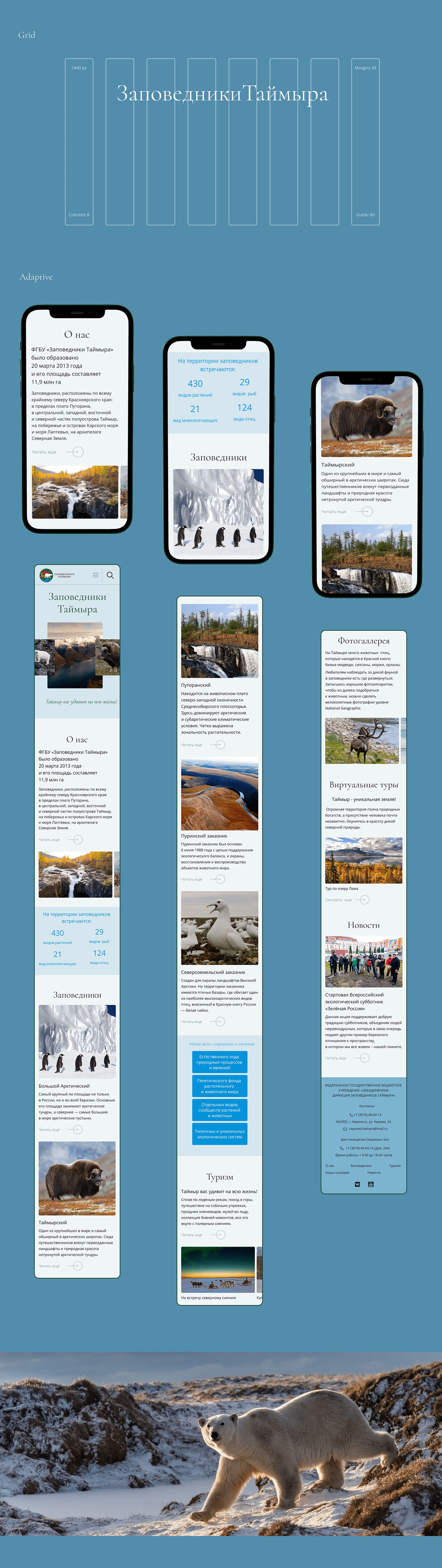 Figma Nature reserve tourism UI/UX user experience user interface UX design Web Design  Website