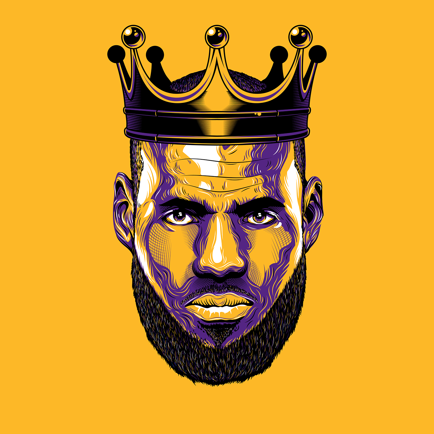 the king lebron james