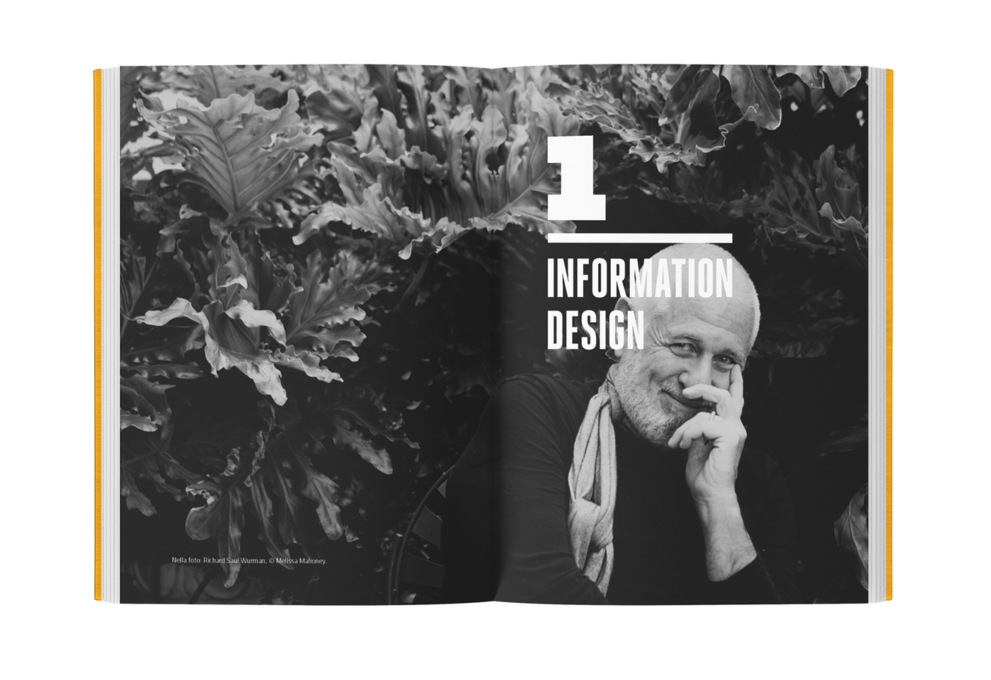 information design infographics editorial school canvas