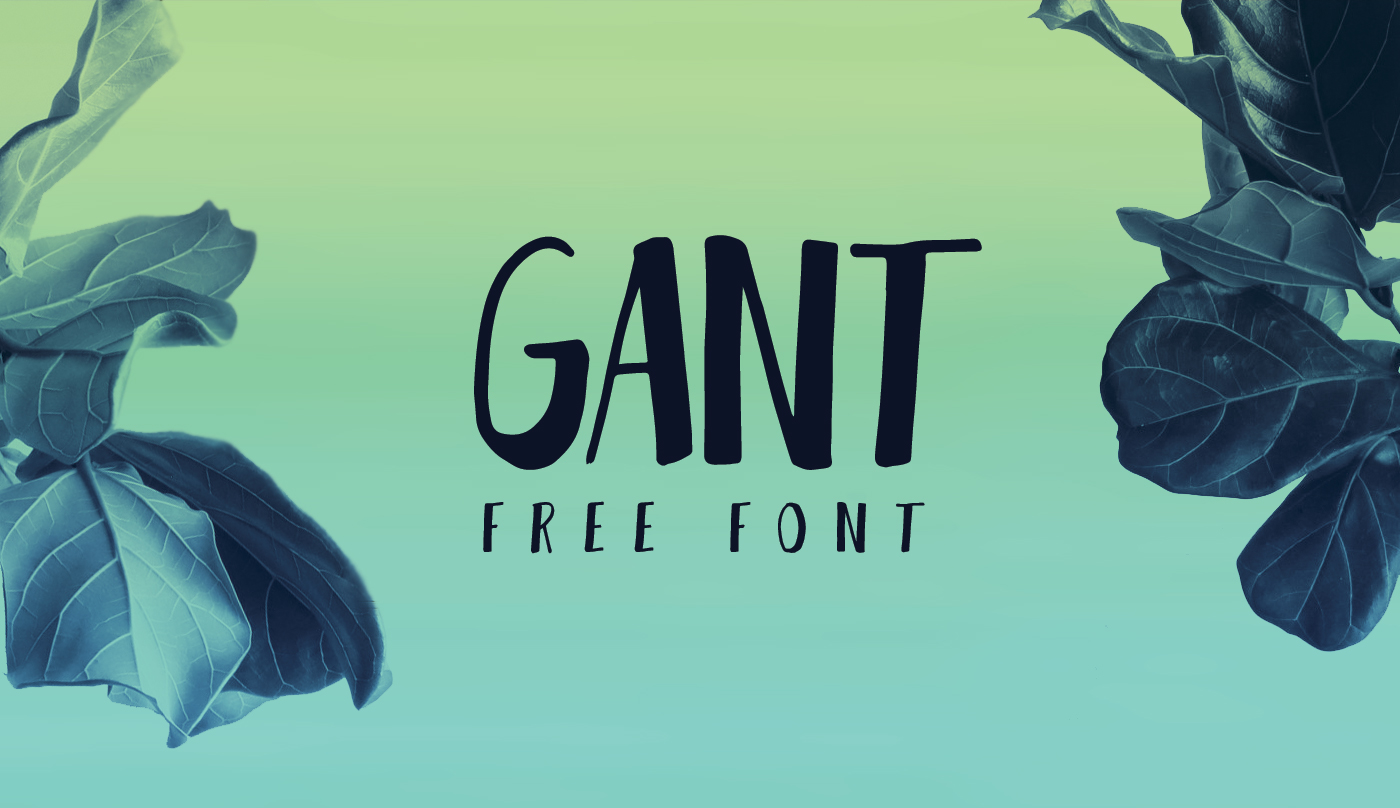 freebie freebies freefont fonts font free type handwritten handmade classy Classic French