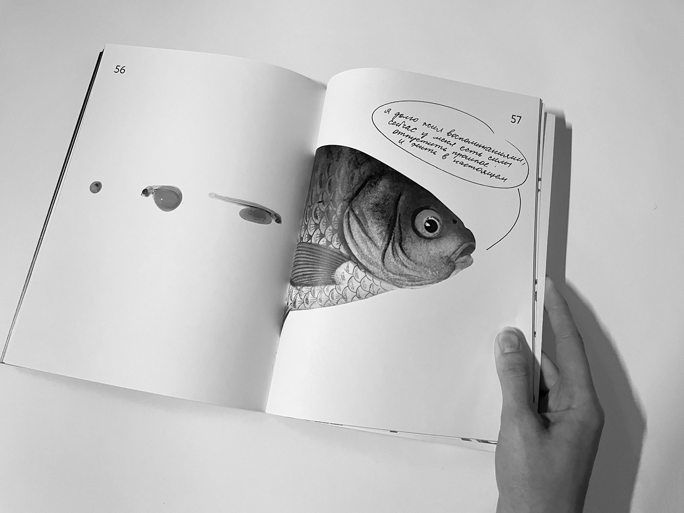 3D blender book design fish psychology иллюстрация книга коллаж