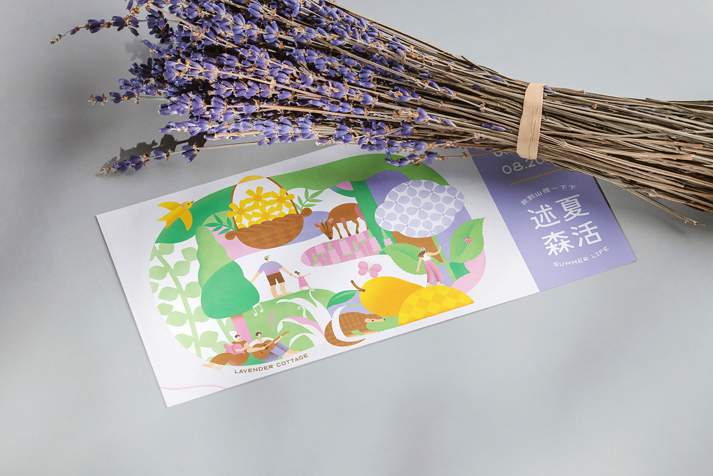 graphic design  ILLUSTRATION  visual design Event lavender color summer 插畫 平面設計 薰衣草森林