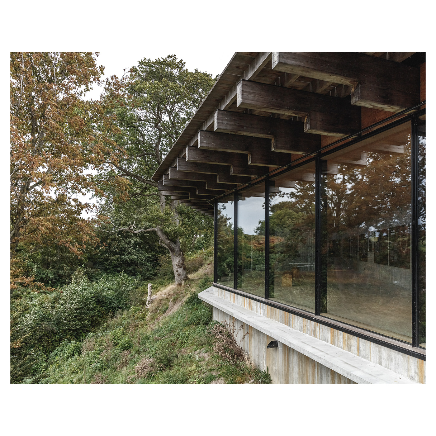 Exhibition  nordic design concrete wood Landscape Sustainable