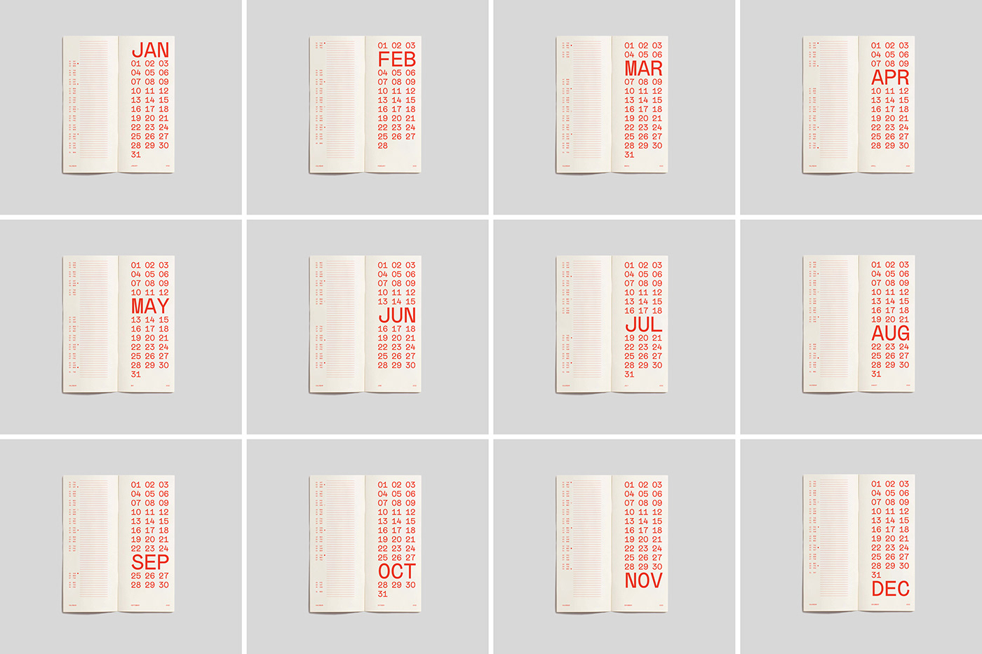 Booklet calendar design product grid Layout modernism print snake tangerine typography  