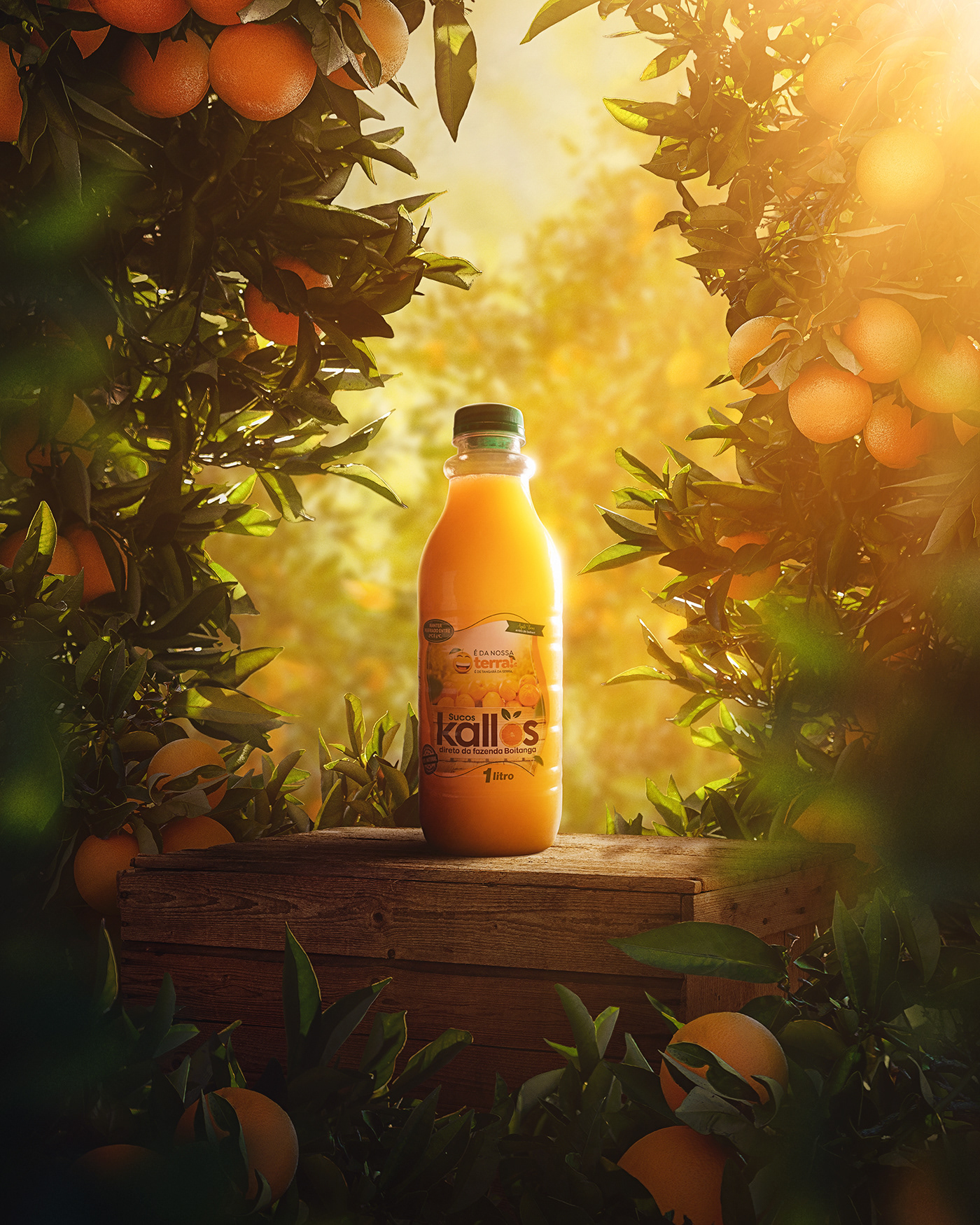 Advertising  juice orange Packaging design branding  brand identity visual identity Logotype Logo Design