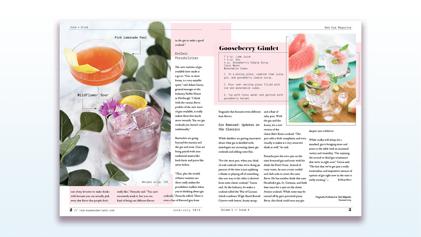 graphic design  Magazine design publication design magazine layout Layout Design Editoral Design Adobe InDesign information design