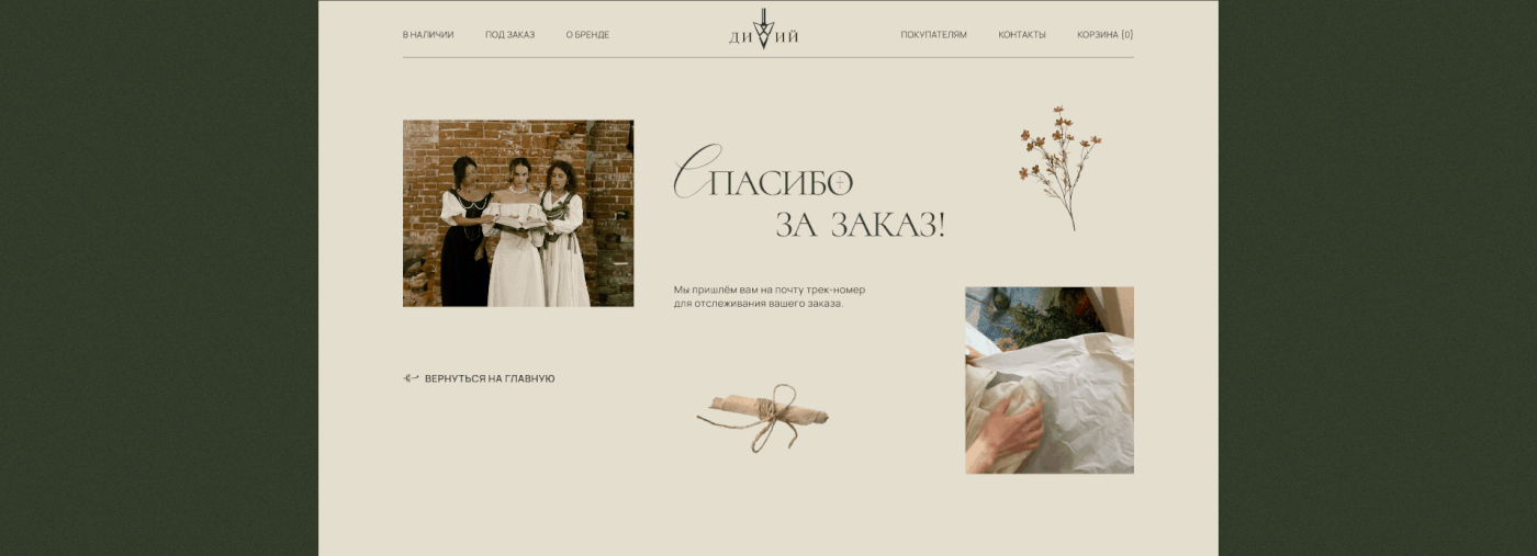 Clothing Ecommerce Fashion  online store shop store UI ux Web Design  Website