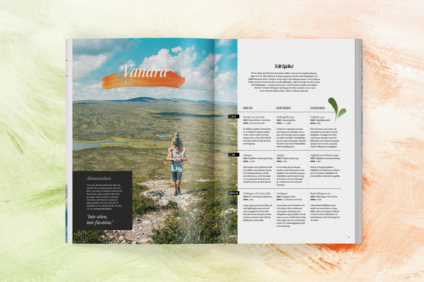 Advertising  brochure editorial design  InDesign Layout magazine Photography  photoshop print typography  