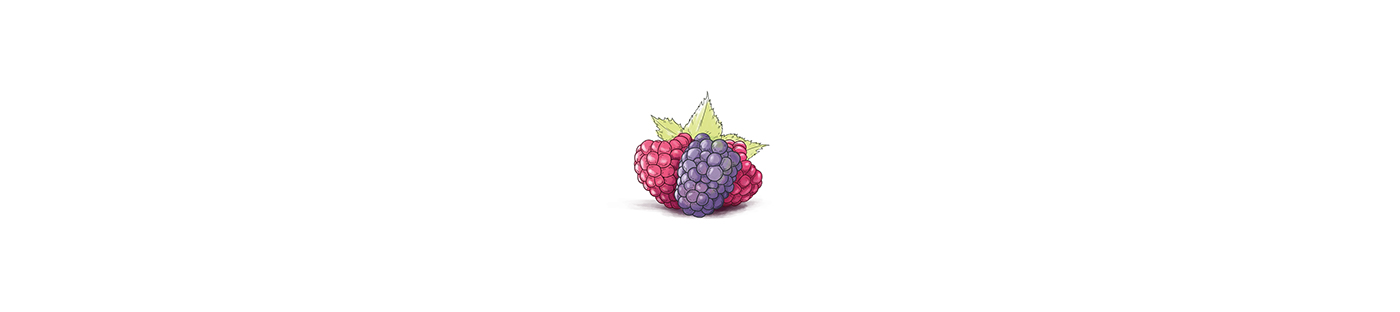 fruits color package design graphic yoghurt Turkey ILLUSTRATION  Drawing  re-design