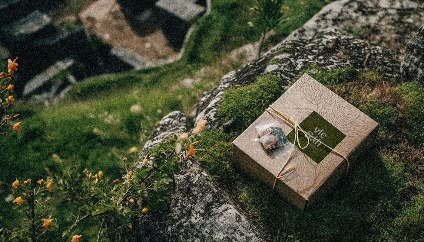 Упаковка коробка с логотипом в лесу