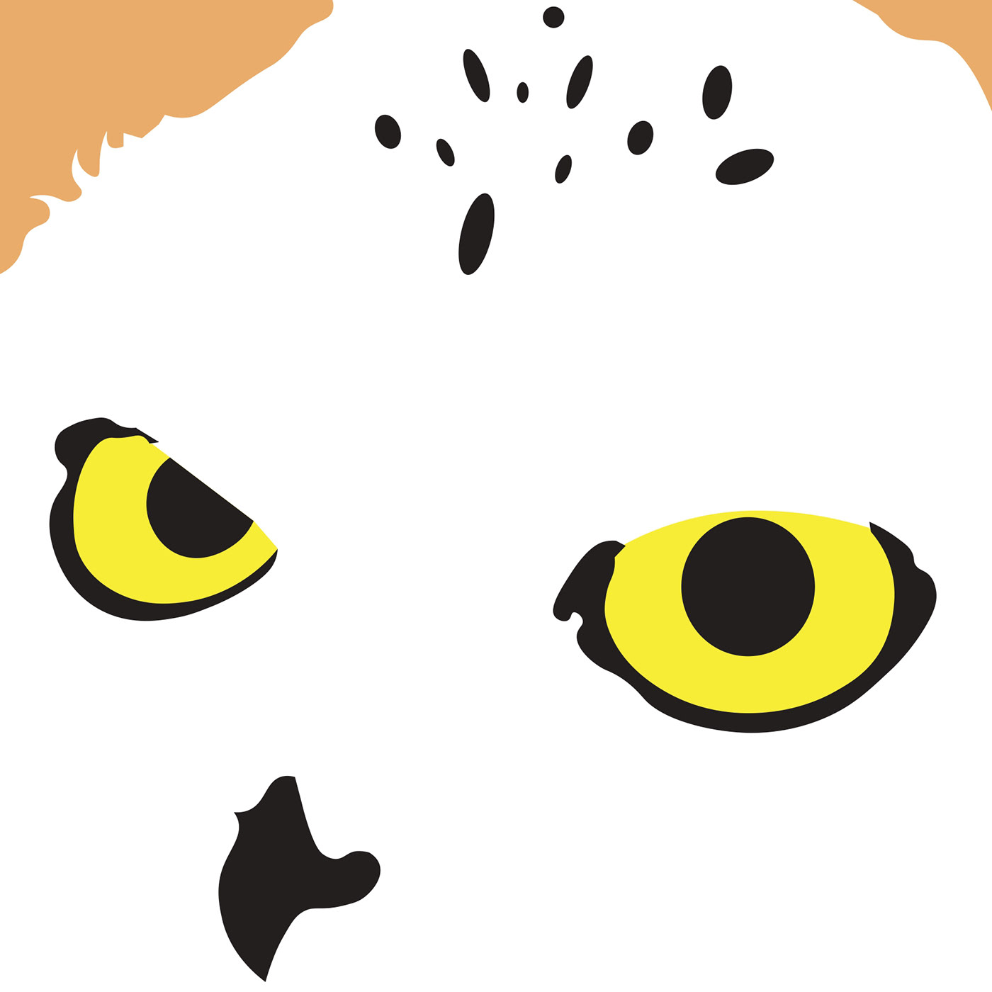 vector adobe illustrator Graphic Designer vector art Vector Illustration animals owl illustration owls