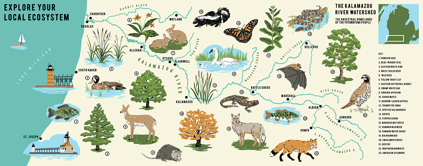 illustratedmap natureillustration illustrated mural Mural michiganmap