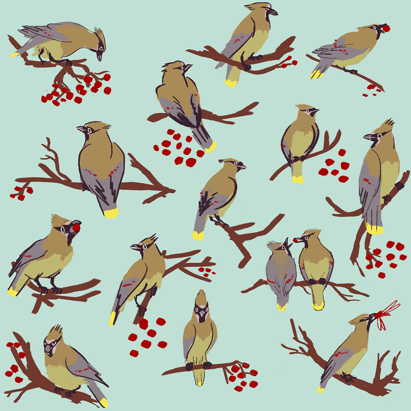 Cedar waxwing birds bird pattern